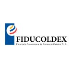 logo_fiducoldex_3